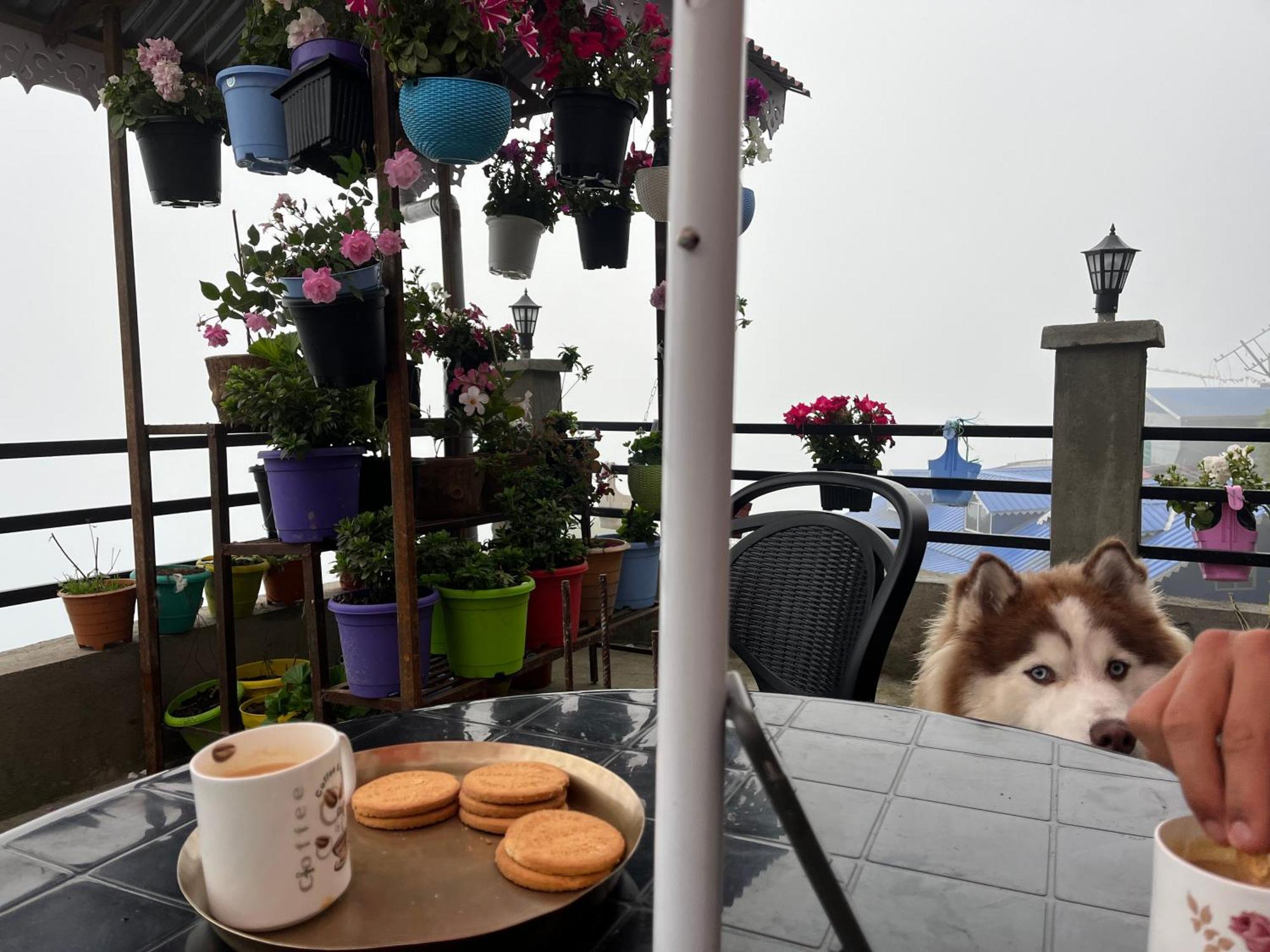 Shalom Inn Home Stay ดาร์จีลิง ภายนอก รูปภาพ